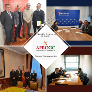 <strong>APROGC se reúne con los Portavoces de Interior de los Grupos Parlamentarios</strong>